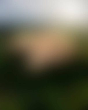 Renklerin soyut bulanık arkaplanı