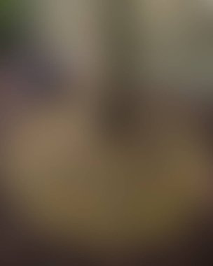 Renklerin soyut bulanık arkaplanı