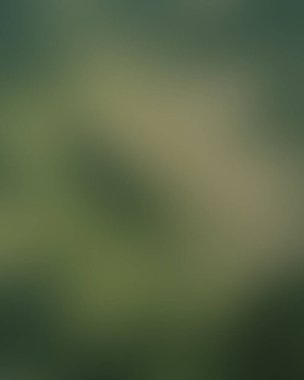 Renklerin soyut bulanık arkaplanı