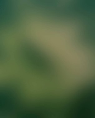 Renklerin soyut bulanık arkaplanı