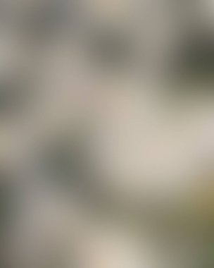 Renklerin soyut bulanık arkaplanı