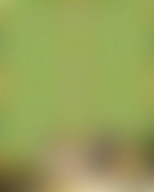 Renklerin soyut bulanık arkaplanı