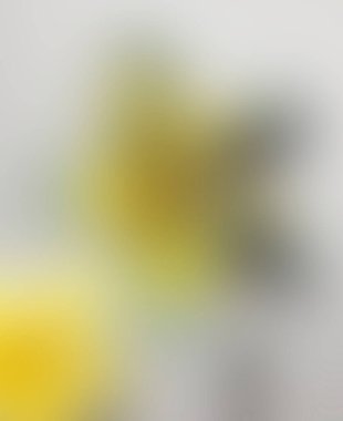 Renklerin soyut bulanık arkaplanı