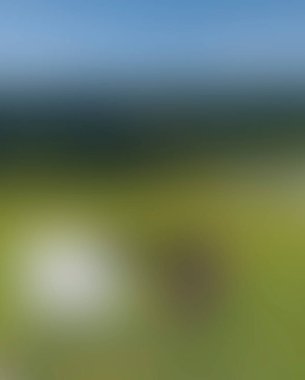 Renklerin soyut bulanık arkaplanı