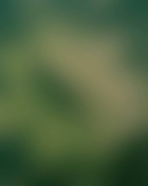 Renklerin soyut bulanık arkaplanı