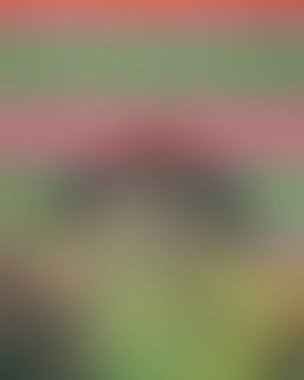 Renklerin soyut bulanık arkaplanı