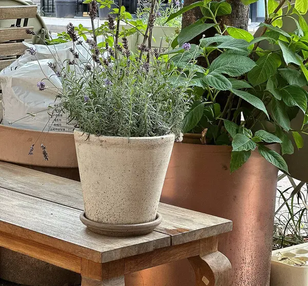 Küçük bir ahşap kap ve küçük bir bahçede çiçekler ile dikey bir çekim.