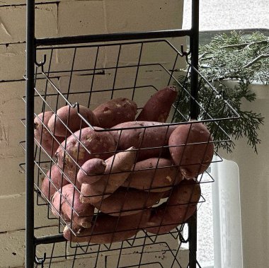 Mağazada Noel ağacı süslemesi