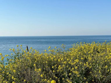 Deniz kıyısının güzel manzarası