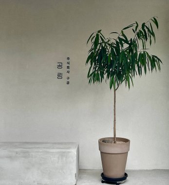 Güzel botanik fotoğrafı, doğal duvar kağıdı.