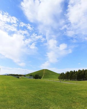 Arkasında bir dağ olan güzel bir manzara.