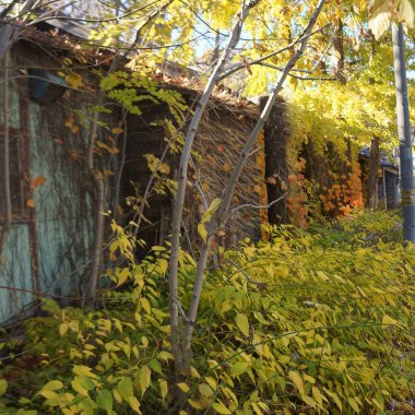 Sonbaharda terk edilmiş ev