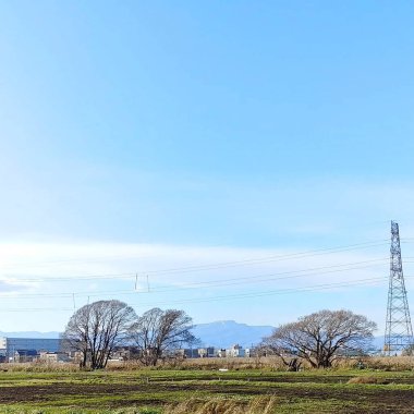 New York şehrinin manzarası