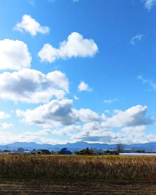 Doğanın güzel manzarası