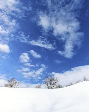 Karla kaplı ağaçlarla kaplı kış manzarası