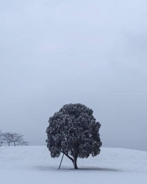 Doğal manzaranın güzel manzarası