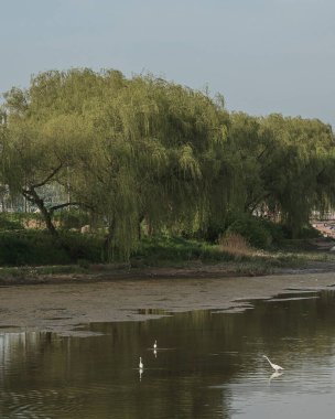 İsrail Eyaleti 'nin nehir manzarası.