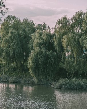 Nehrin güzel manzarası