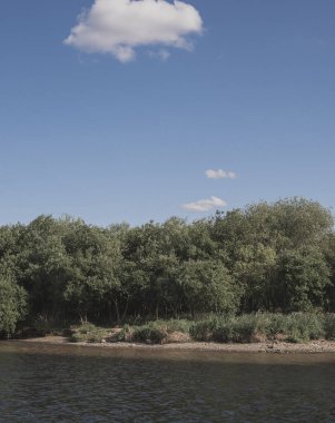 Bahar ormandaki nehir