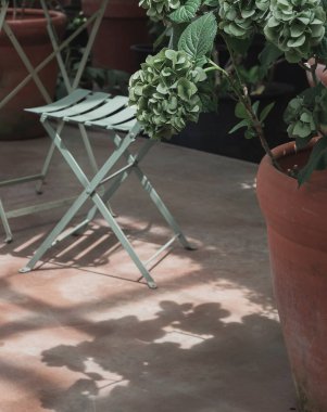 Parkın güzel manzarası