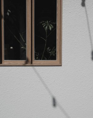 Beyaz arka planda bir bitkinin gölgesi, siyah ve beyaz