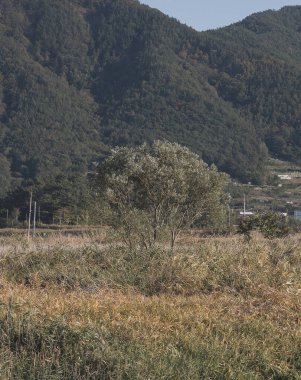 Dağların güzel manzarası