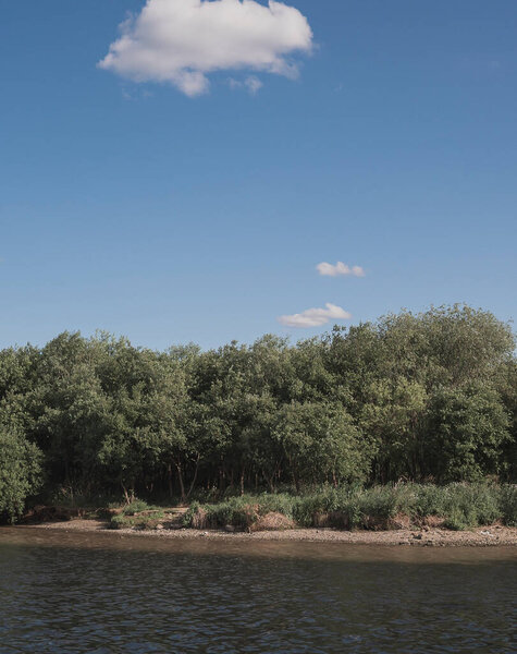 река в лесу весной
