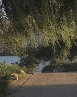 Parkın güzel manzarası