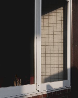 Şehirde bir pencere