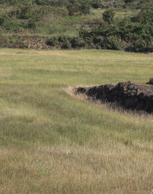 Okinawa adasının manzarası