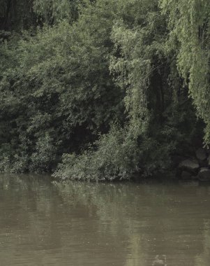 Parkın güzel manzarası