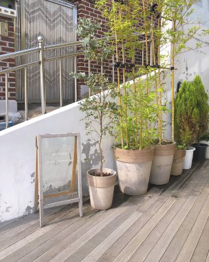 Bahçedeki güzel çiçekler