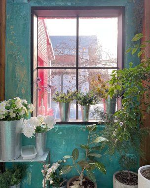 Bahçedeki güzel çiçekler