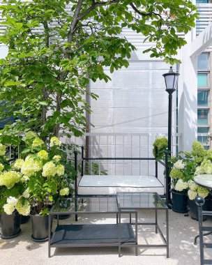 Bahçedeki güzel çiçekler