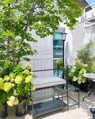 Modern bir evin içinde.