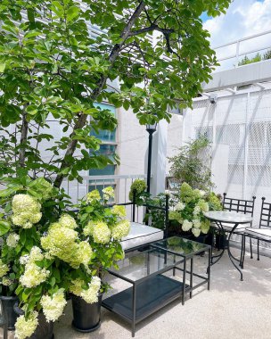 Modern bir otelin içinde.