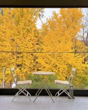 sonbahar park ve tezgah