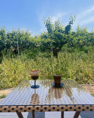 Bahçedeki masa ve şarap.