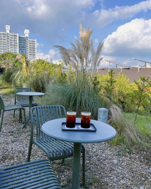 Yazın şehir parkının güzel manzarası