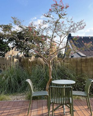 Parkın güzel manzarası