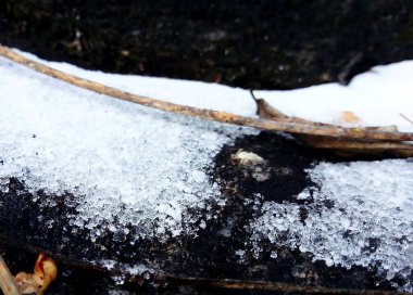 Bir ağaç gövdesindeki karların yakın çekimi.