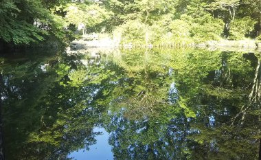 Parktaki nehrin güzel manzarası