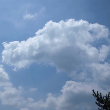Mavi gökyüzü arka planında beyaz pofuduk bulut. Gökyüzündeki kabarık bulutlar.