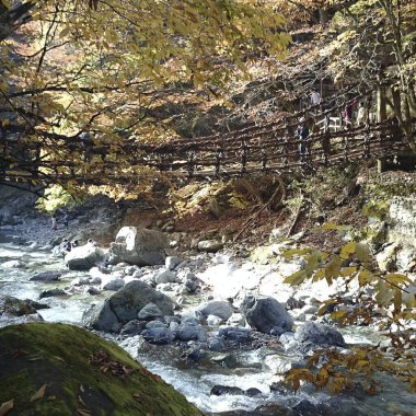 Dağlardaki nehrin güzel manzarası