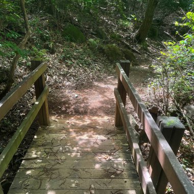 Parkın güzel manzarası