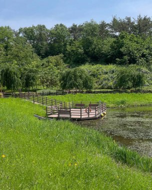 Bahçede ahşap köprüsü olan gölet ve gölet