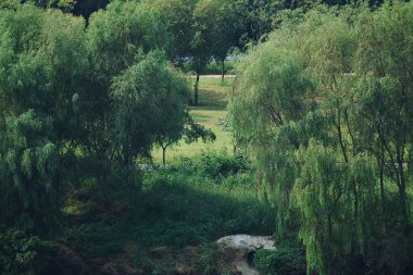 Güzel doğa manzarasının resimli görüntüsü