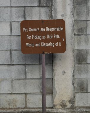 Köpek beslemek yok.