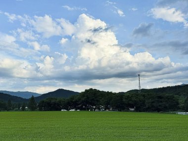 Dağları ve ağaçları olan güzel bir manzara.