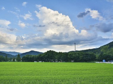 Yazın dağların güzel manzarası